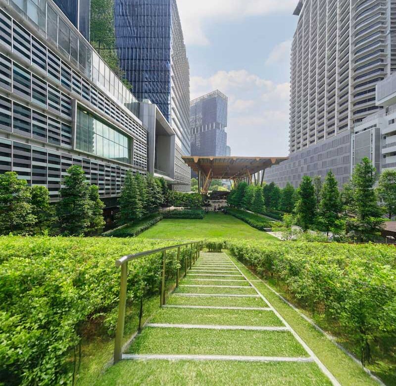 Helping shape a greener future for South Africa